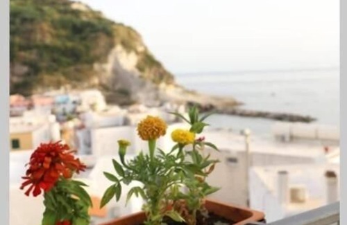 Sant'Angelo Apartamento | Maadry House apartment 1