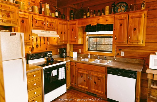 Murphy Cabina | Cabina MacLeod en Scottish Woods