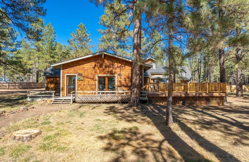 Flagstaff Cabina | Retiro de Magdalena Meadows. Increíble propiedad de un millón de dólares en propiedad de 3 acres