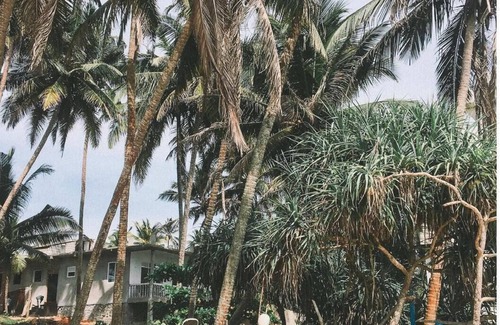 Rosendal Apartamento | Magens Bay Beach 3 min Uphill drve to Rustic, Caribbean, indoor/outdoor cabin