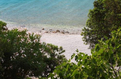 Seget Vranjica Apartamento | Magical Sea Fairytale