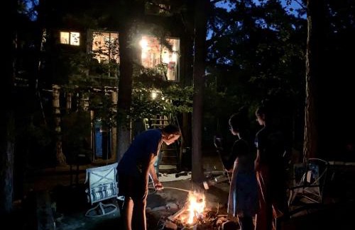 Grubville Casa | Magical Tree House Rental Nestled in the Woods on Farm Retreat near St. Louis, Missouri
