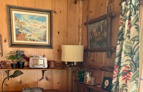 Idyllwild Cabina | MAGICAL! ultra-vintage remod 1937- fence for dogs