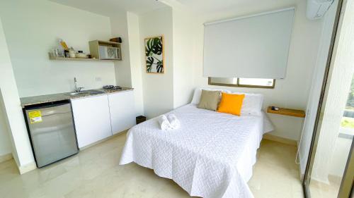 Monteria Apartamento | Magico Apartaestudio con Piscina 1 Habitacion PR46B