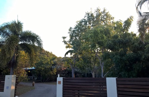 Horseshoe Bay Cama Y Desayuno | Magnetic Island Bed and Breakfast