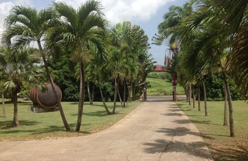 Morel Casa | Magnífica Casa Planta Jardín