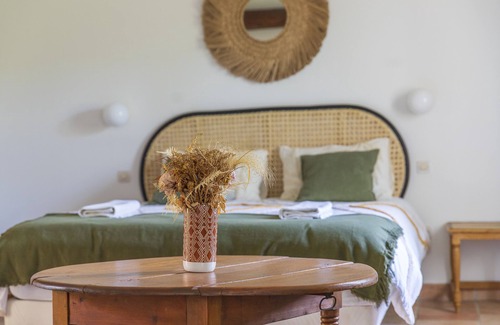 Ponteves Otro | Magnificent Mas provençal with swimming pool, pétanque, pizza oven, volleyball