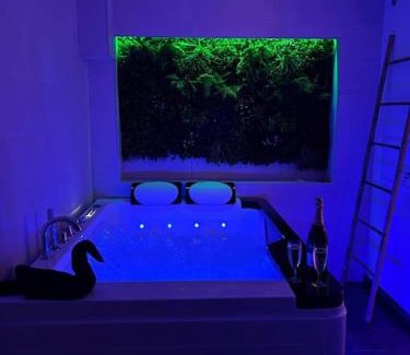Avolsheim Apartamento | Magnifique gîte avec jacuzzi et sauna privatifs