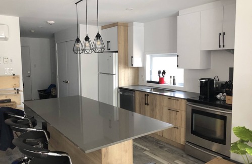 Bromont Condominio | Magnifique Loft Situé à Moins de 5 Minutes de Bromont, Montagne Dexpériences