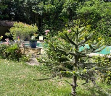 Puyvert Casa | Magnifique Mas proche de Lourmarin