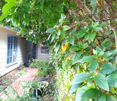 Croydon North Casa | Magnolia Cottage- wineries, main street, station