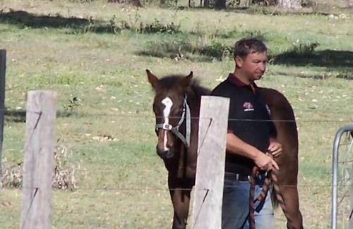 Boyland Otro | Magpie Creek Thoroughbred Farmstay Family Unit