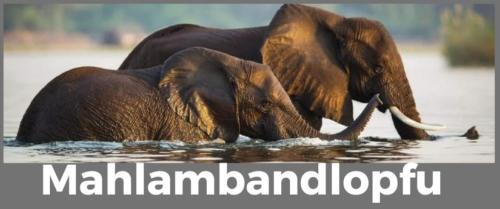 Carletonville Casa | Mahlambandlopfu Presidential Guest House