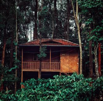 Kottappadi part Complejo | Mahout Resort Wayanad - An Experiential Jungle Stay with Waterfall