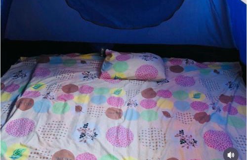 Bacocho Apartamento | Mahue Rooms and Camping