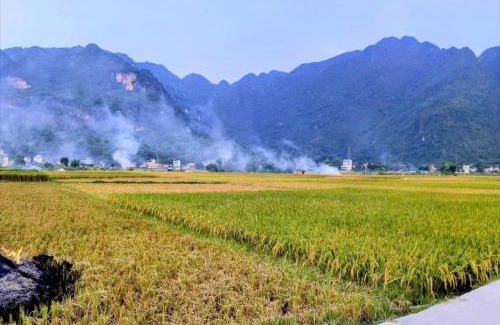 Mai Chau Casa | mai chau rice fields homestay