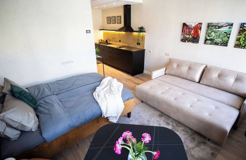 Old Town Apartamento | tARTuStays artist Maikro designed apartment with WiFi and AC in fabulous Tartu