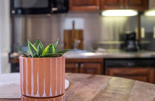 Lexington Apartamento | Main St Lexington Modern Loft APT, walk to WLU VMI