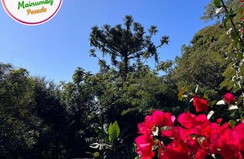 Puerto Iguazú Hotel | Mainumby- Colibri Posada