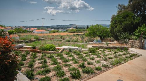 Kithira Casa | Maira Arch House
