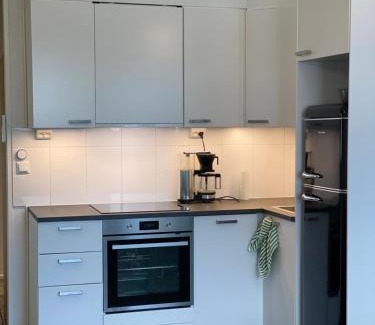 Vierema Apartamento | Maisa's studio saunallinen huoneisto