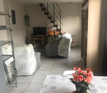 Fleury-les-Aubrais Casa | Maison à Orléans avec jardin