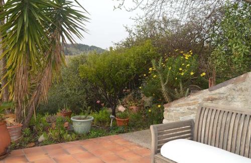Banyuls-sur-Mer Casa | Maison 3 pièces avec jardin, BBQ, animaux admis à Banyuls-sur-Mer - FR-1-225C-74