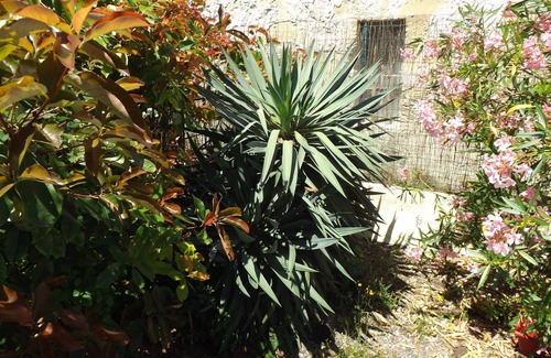 Saint-Andre-de-Cubzac Casa | Maison a Louer Situé au Bord de la Dordogne