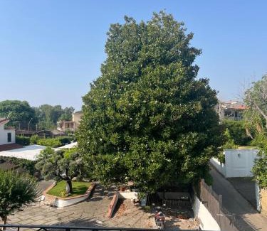 San Giuseppe Vesuviano Apartamento | Maison Aielli 112