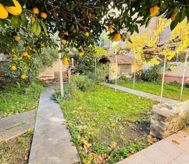 Saint-Martin Casa | Maison centre ville avec jardin