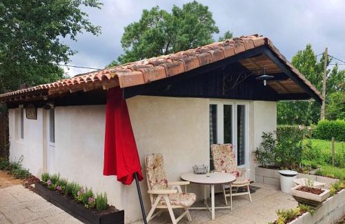 Montfermier Casa | Maison charmante à Montfermier avec piscine privée
