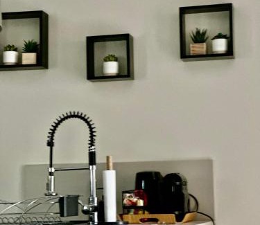 ZAC Andromede Apartamento | Maison d'hôtes chic à Beauzelle