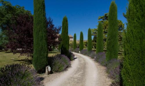 St.-Remy-de-Provence Villa | Maison de campagne au charme provençal