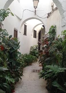 Medina of Tetouan Casa | Maison De La Lune
