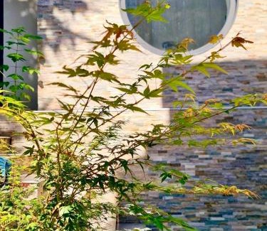 Bagneux Casa | Maison de Verdure proche de Paris