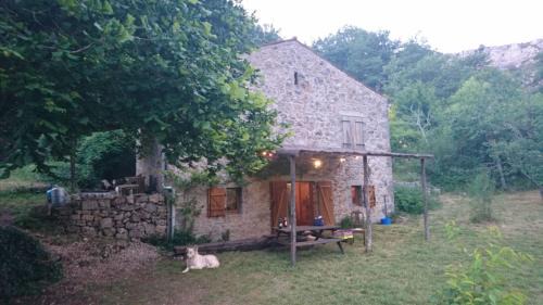 Tournemire Casa | Maison de Vignes de Tournemire