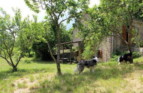 Tournemire Casa | Maison de Vignes de Tournemire