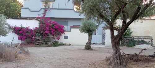 Ain Mediouna Casa | Maison des vacancies,repos et relaxation