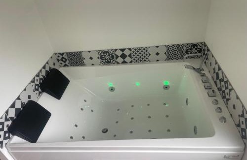 Lailly-en-Val Casa | maison entière piscine balnéo