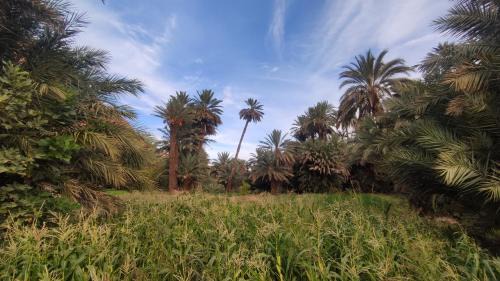 Toudgha El Oulia Casa | Maison La lune des gorges