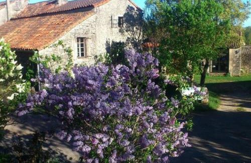 Vissec Casa | Maison Larzac Cevennes Grand Gite