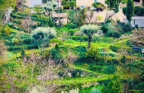 Falicon Casa | Maison Le Fleur: a haven of peace with swimming pool and garden in the hills above Nice
