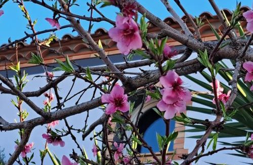 Villeneuve-les-Beziers Cama Y Desayuno | MAISON LES AGAPANTHES
