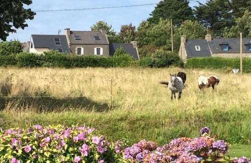 Plouguerneau Casa | Maison lumineuse entre mer et campagne 6 personnes