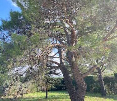 Clermont-l'Herault Casa | Maison proche du Lac du Salagou