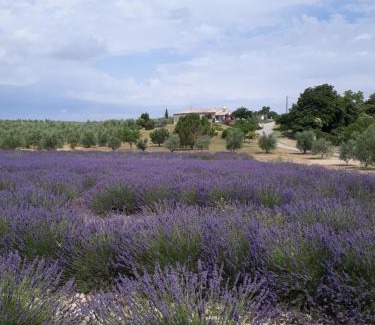 Baudinard-sur-Verdon Casa | Maison Provence à Baudinard-sur-Verdon