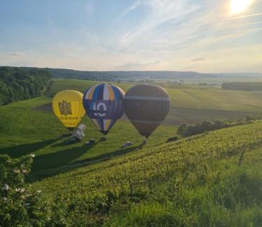 Mailly-Champagne Apartamento | Maison village vignoble avec balnéo