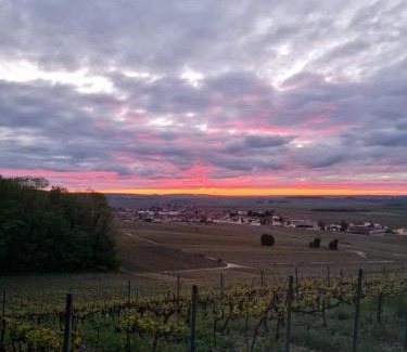Mailly-Champagne Apartamento | Maison village vignoble avec balnéo