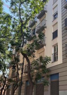 Barrio del Carmen Apartamento | Majestic Flats