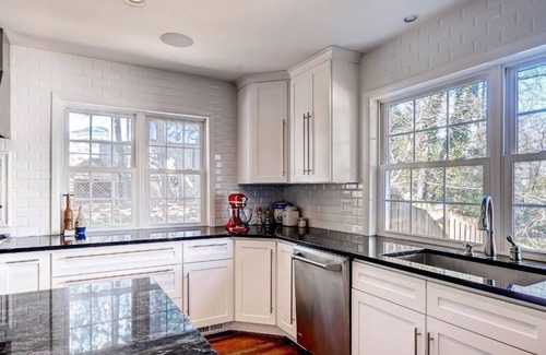 Donaldson Run Casa | Majestic Residence, Theater, Gym - 5 miles from DC